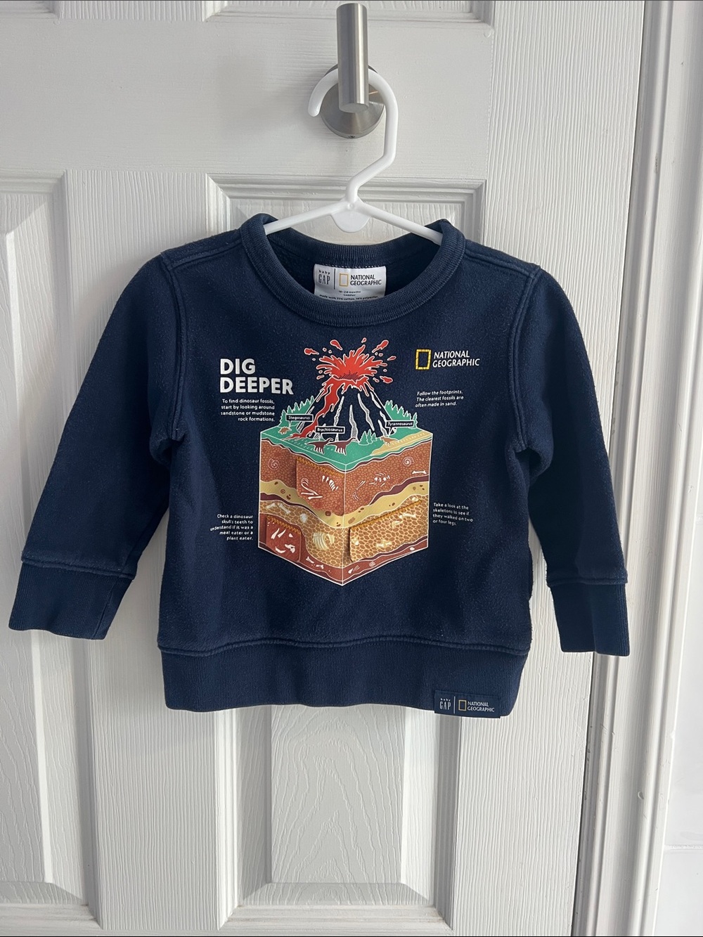 Gap / National Geographic Archeology Dinosaur Sweatshirt Toddler 18-24 Months